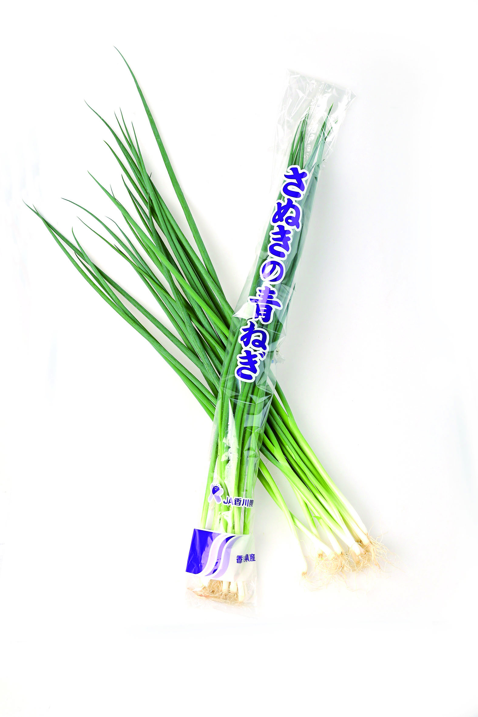 さぬきの青ねぎ