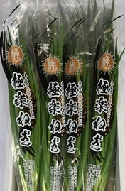 極楽ねぎ